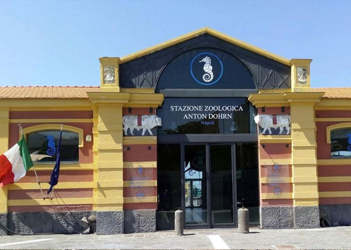 Centro Italiano Napoli- Corsi di lingua e cultura italiana per stranieri